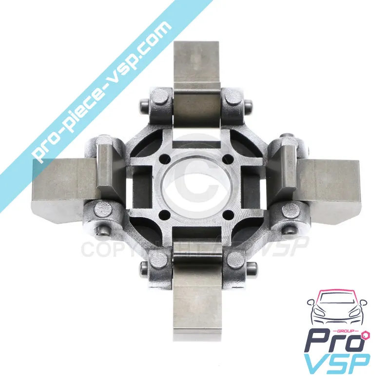 Lombardini Regulatory Masselot focs und progress