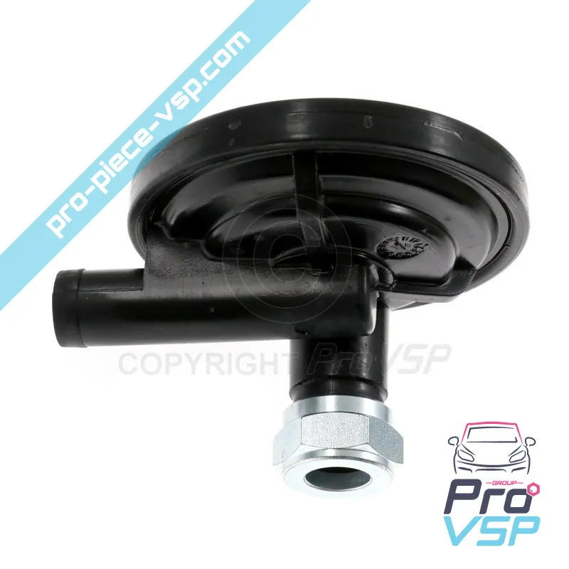 Reniflard lombardini focs et progress