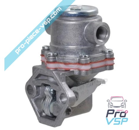 Gasölpumpe für 6ld325 Monozylinder Lumbardini Motor