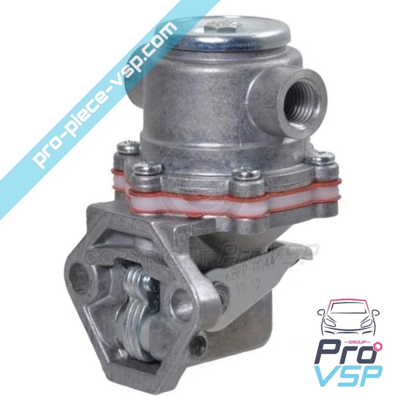 Gasölpumpe für 6ld325 Monozylinder Lumbardini Motor