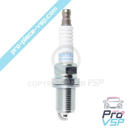 Lombardini Essenz Motorzündung Kerze