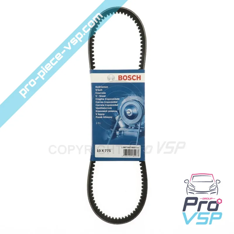 Gates generatorbälte för Dué First