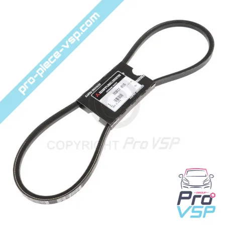 Alternator belt for Casalini