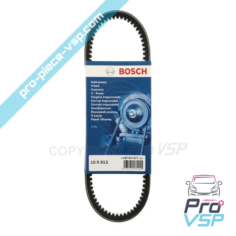 Correia de fãs para microcar mgo Ligier XPro