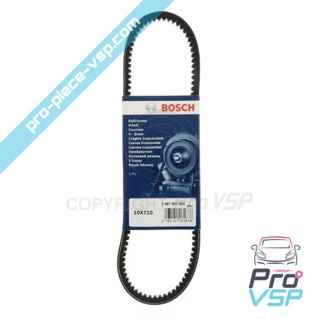 Cintura alternatore Gates per Ligier Microcar Dué (motore Lombardini Progress )