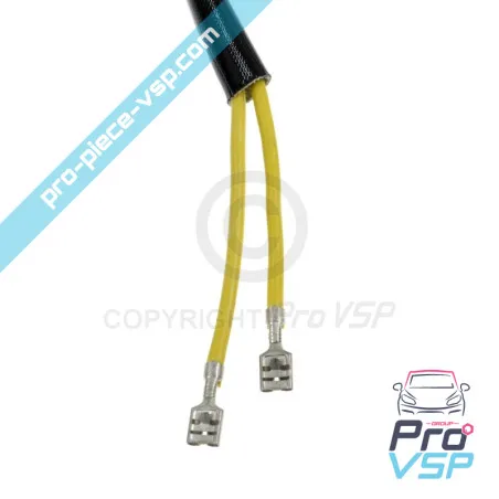 Bobine de charge 30A 2 fils pour moteur Lombardini