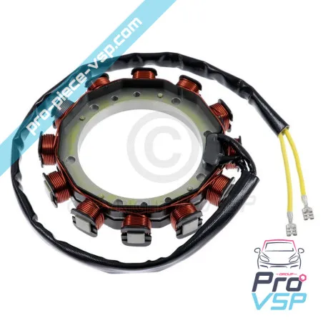 Bobine de charge 30A 2 fils pour moteur Lombardini