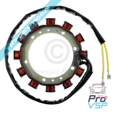 Bobine de charge 30A 2 fils pour moteur Lombardini