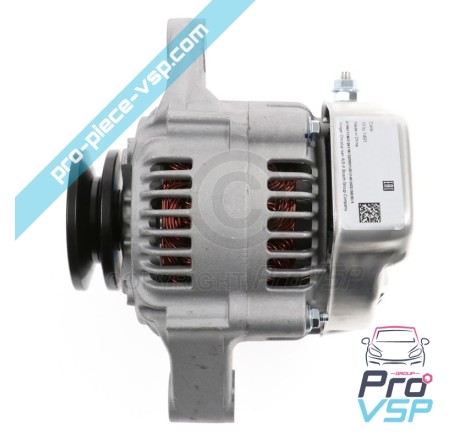 Wechselstromgenerator anpassbar für den Lombardini-Motor