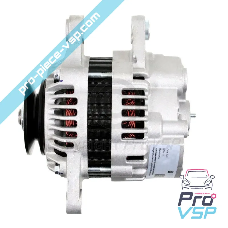 Alternator Origin for casalini