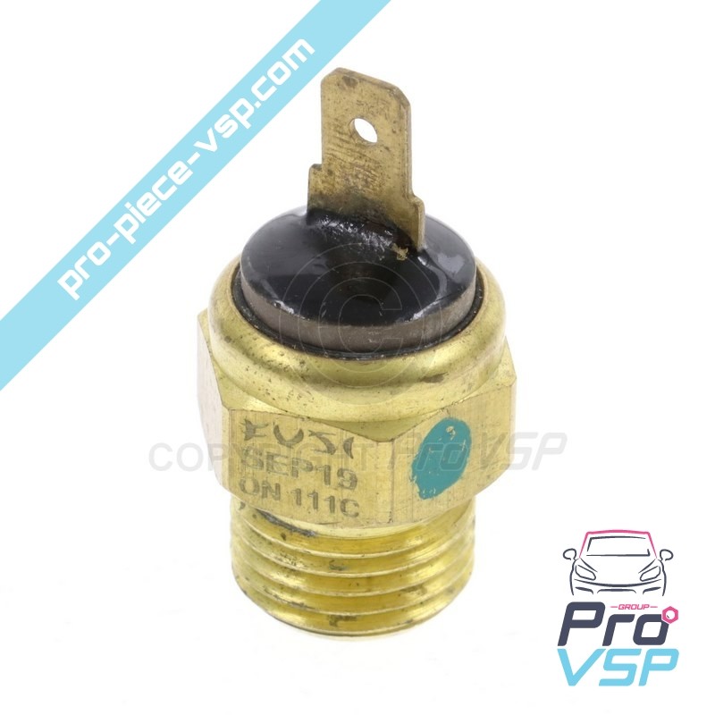 Water temperature probe