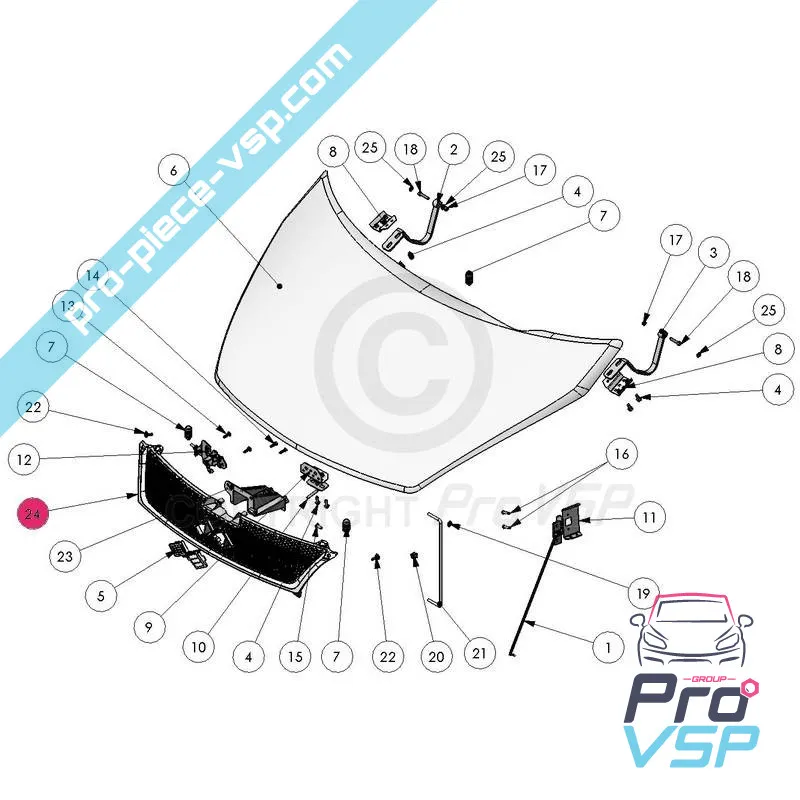 Grila de origine pentru Ligier xtoo 1 2 max