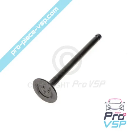 Intake valve Mitsubishi