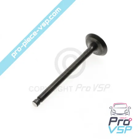 Intake valve Mitsubishi