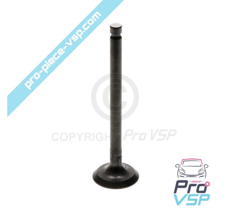 Intake valve