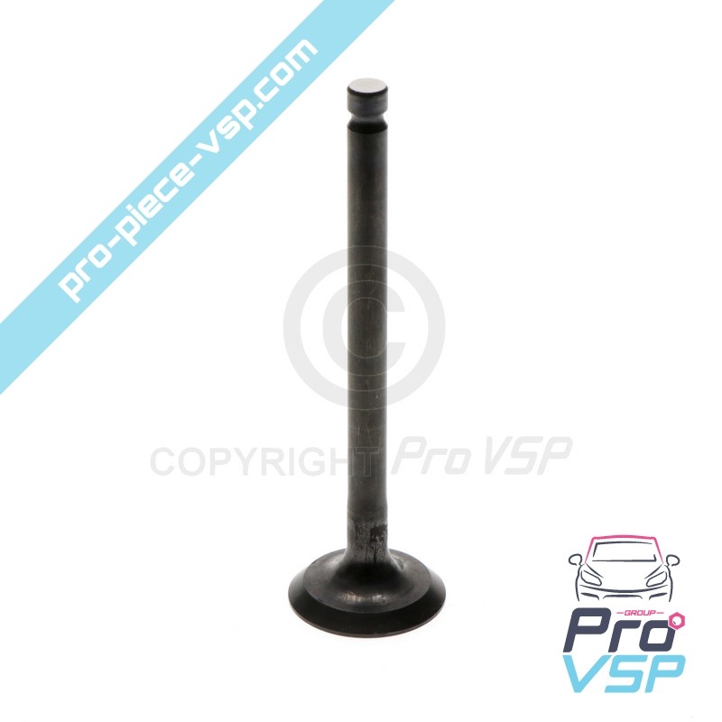 Intake valve