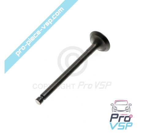 Exhaust valve