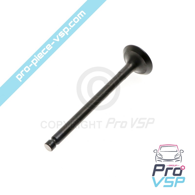 Exhaust valve