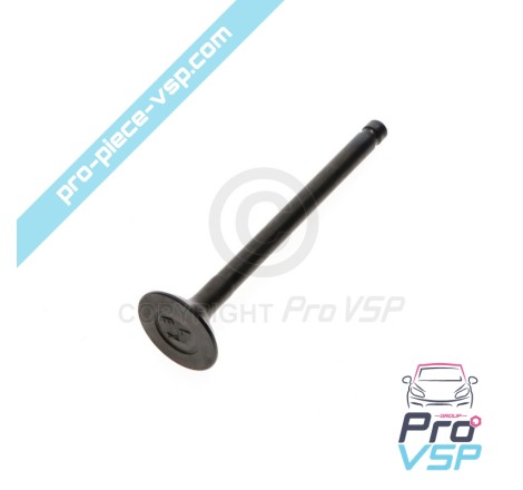 Exhaust valve