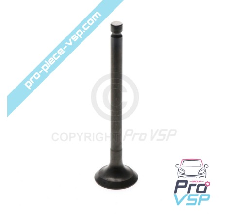 Exhaust valve