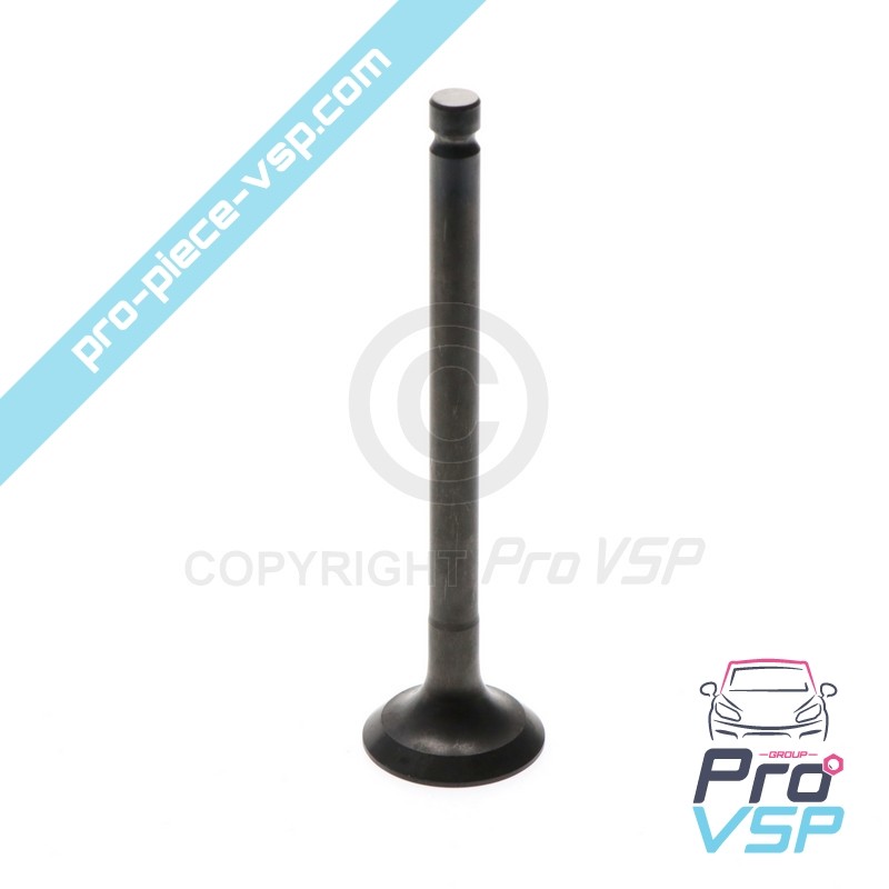 Exhaust valve