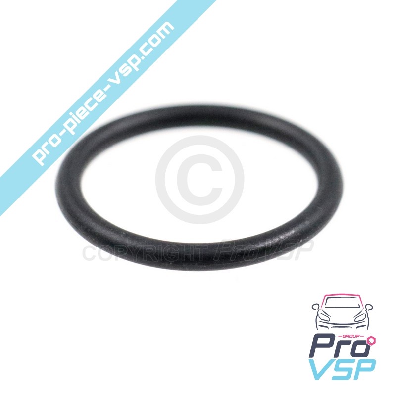 Water pump o-ring