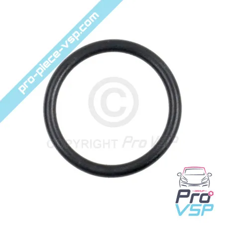 Motor Water Pump O-ring yanmar