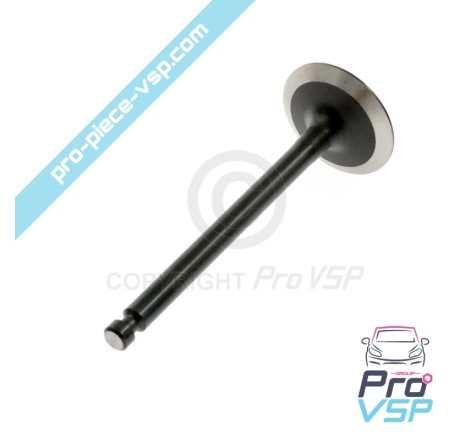 Intake valve