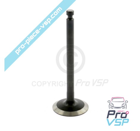 Intake valve