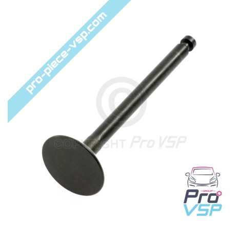 Exhaust valve