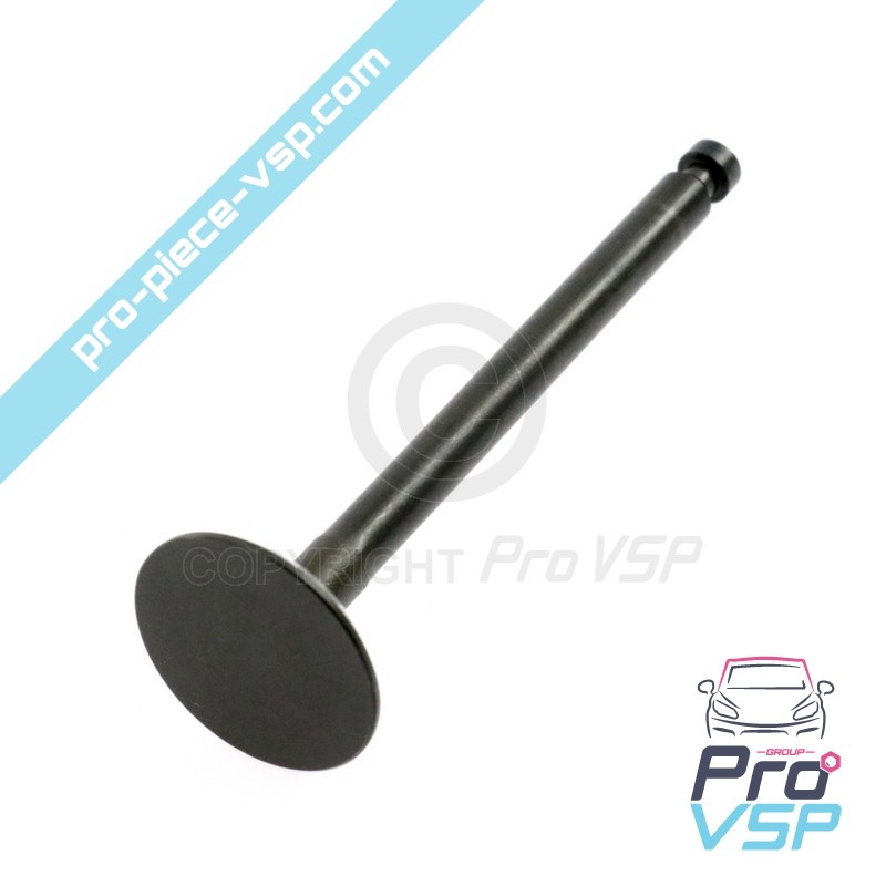 Exhaust valve