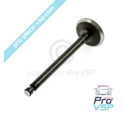 Exhaust valve