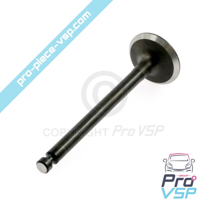 Exhaust valve