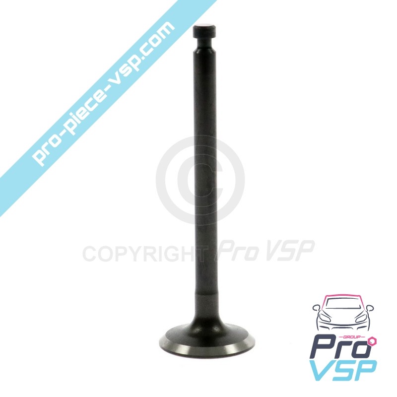 Exhaust valve