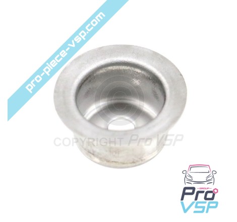 Injector nose protector