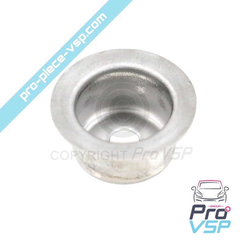 Injector nose protector