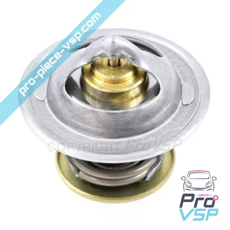 Termostato original para o motor Lombardini dci