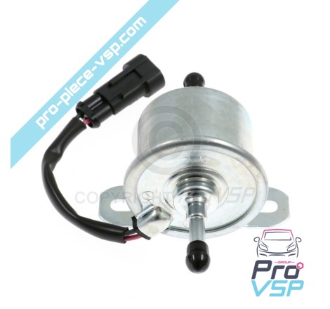 Elektrische Dieselpumpe für Lumbardini Motor focs progress und dci