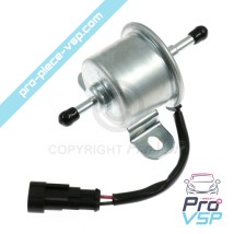 Elektrische Dieselpumpe für Lumbardini Motor focs progress und dci