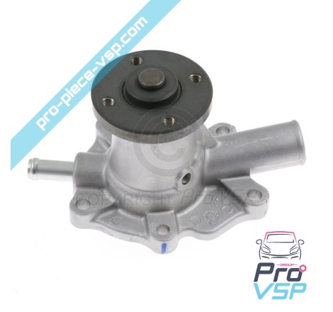 Water pump origin