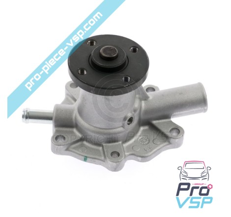 Water pump origin