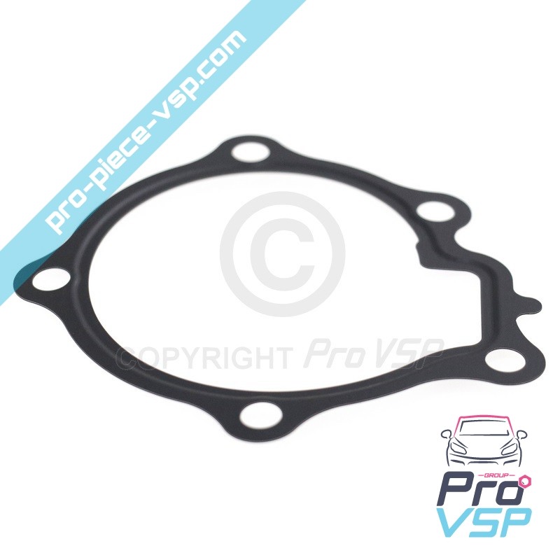 Water pump gasket
