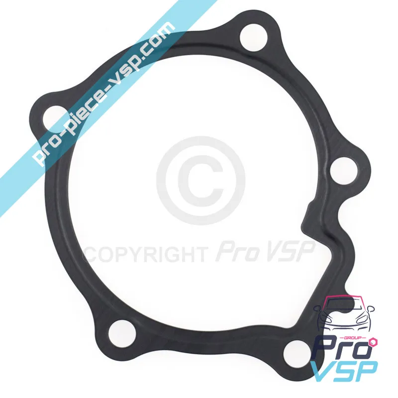 Water pump gasket