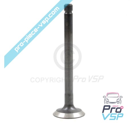 Exhaust valve