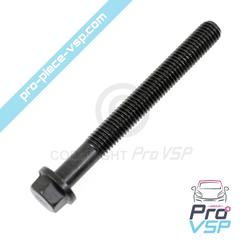 Cylinder head screw