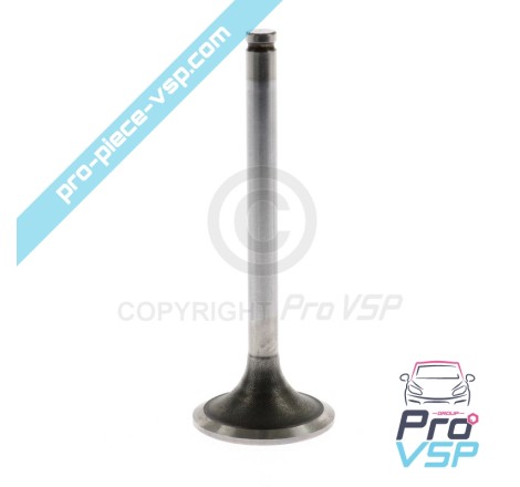 Intake valve