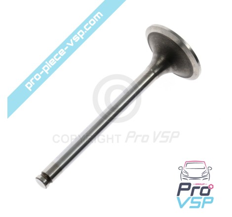 Intake valve