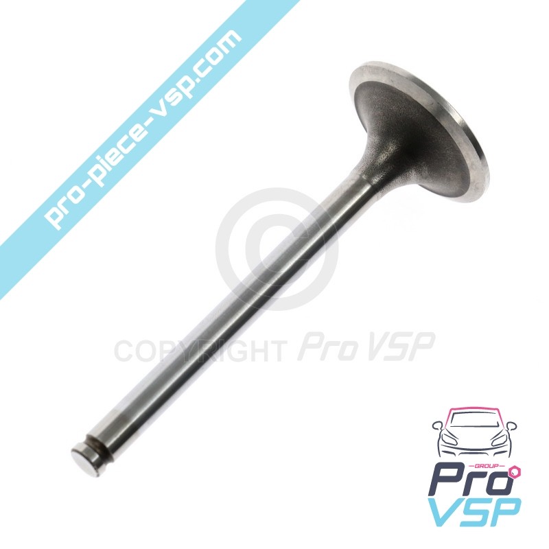 Intake valve