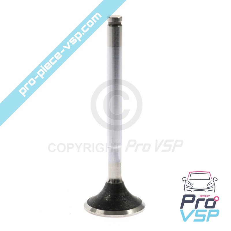 Exhaust valve