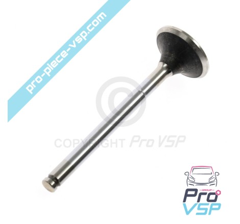 Exhaust valve